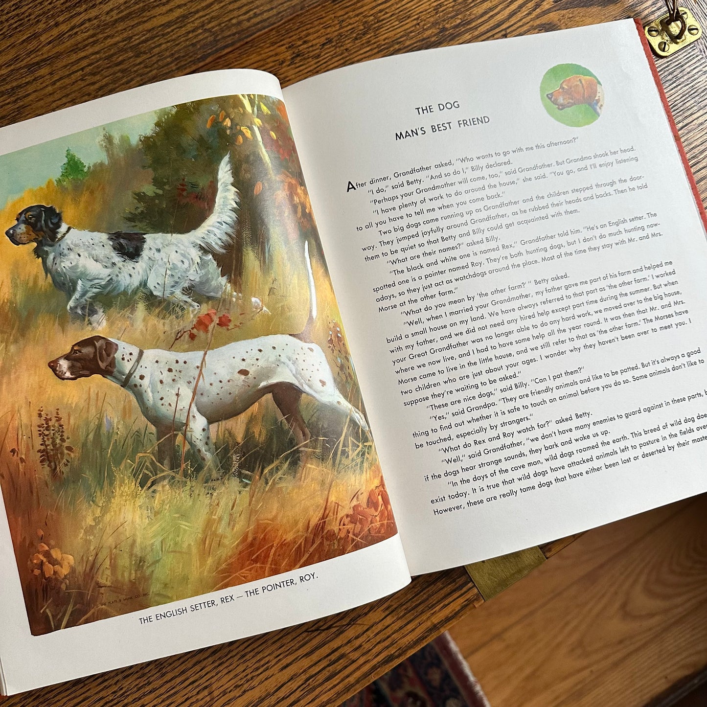 Animal Story Book - 1954