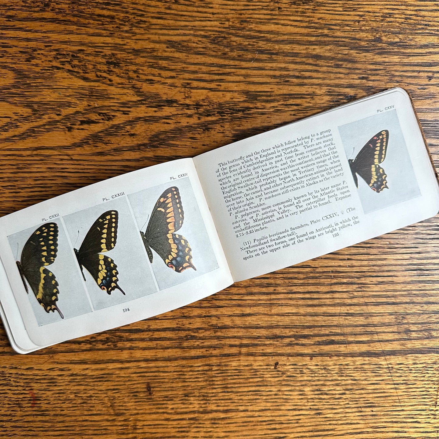 A Set of 3 Leather-Bound Pocket Nature Guides - 1916