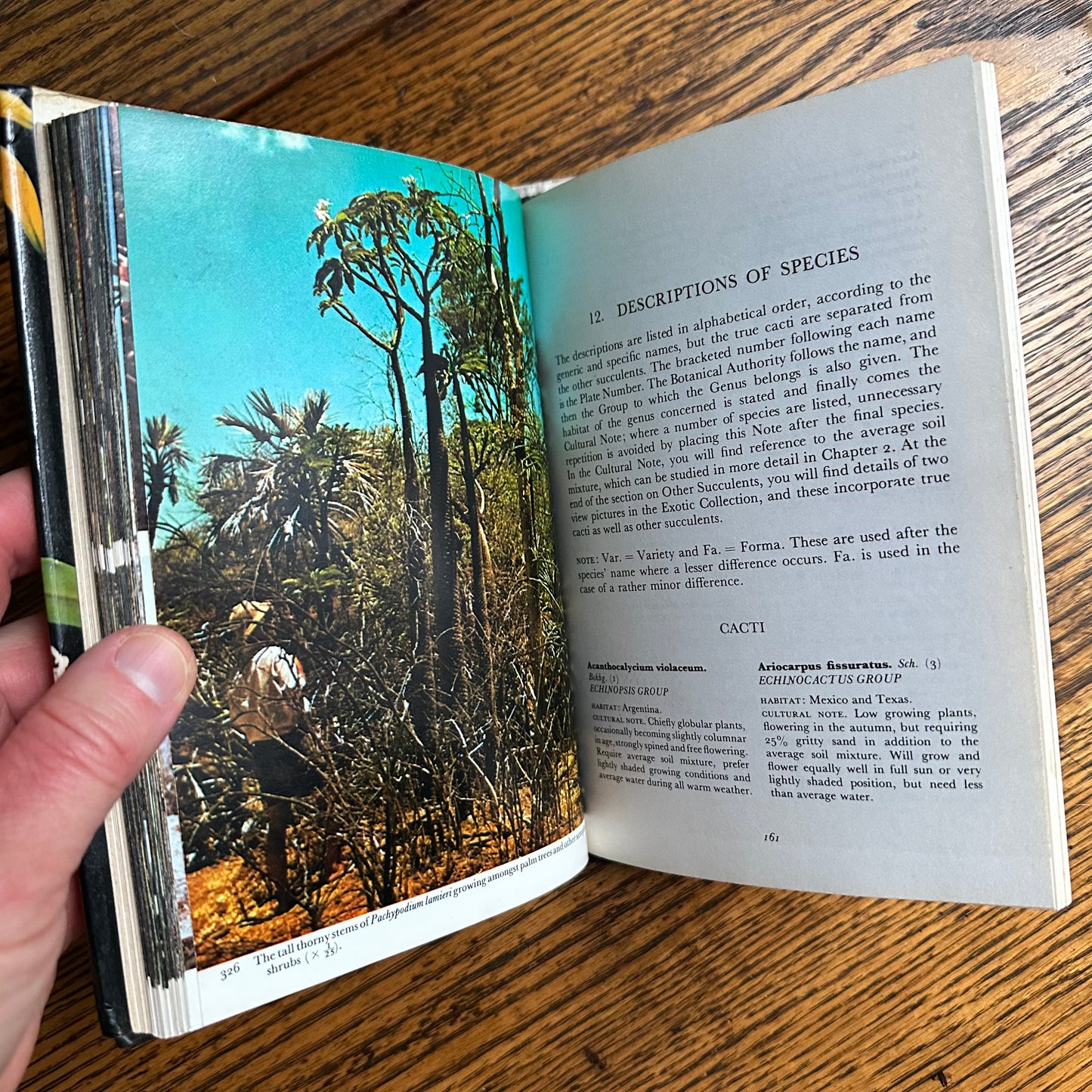 SIGNED 1978 Pocket Encyclopedia of Cacti in Color!