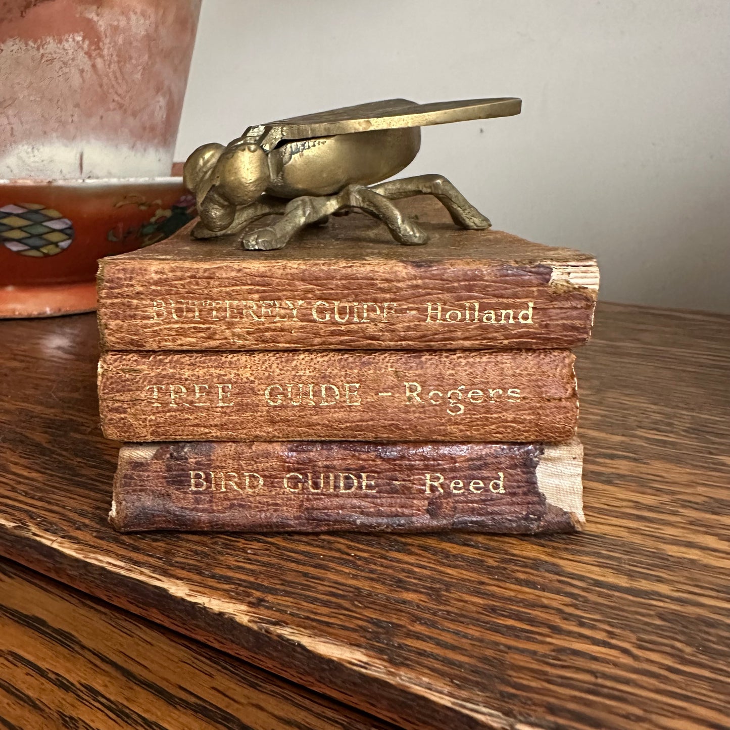 A Set of 3 Leather-Bound Pocket Nature Guides - 1916