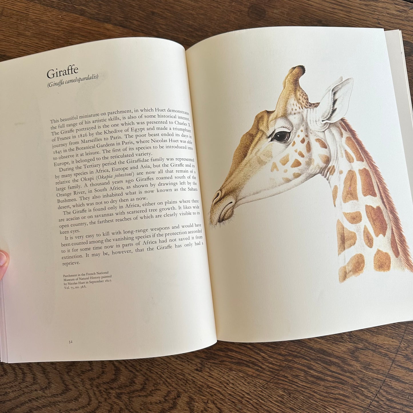 Larousse Animal Portraits - 1st US Edition - 1977