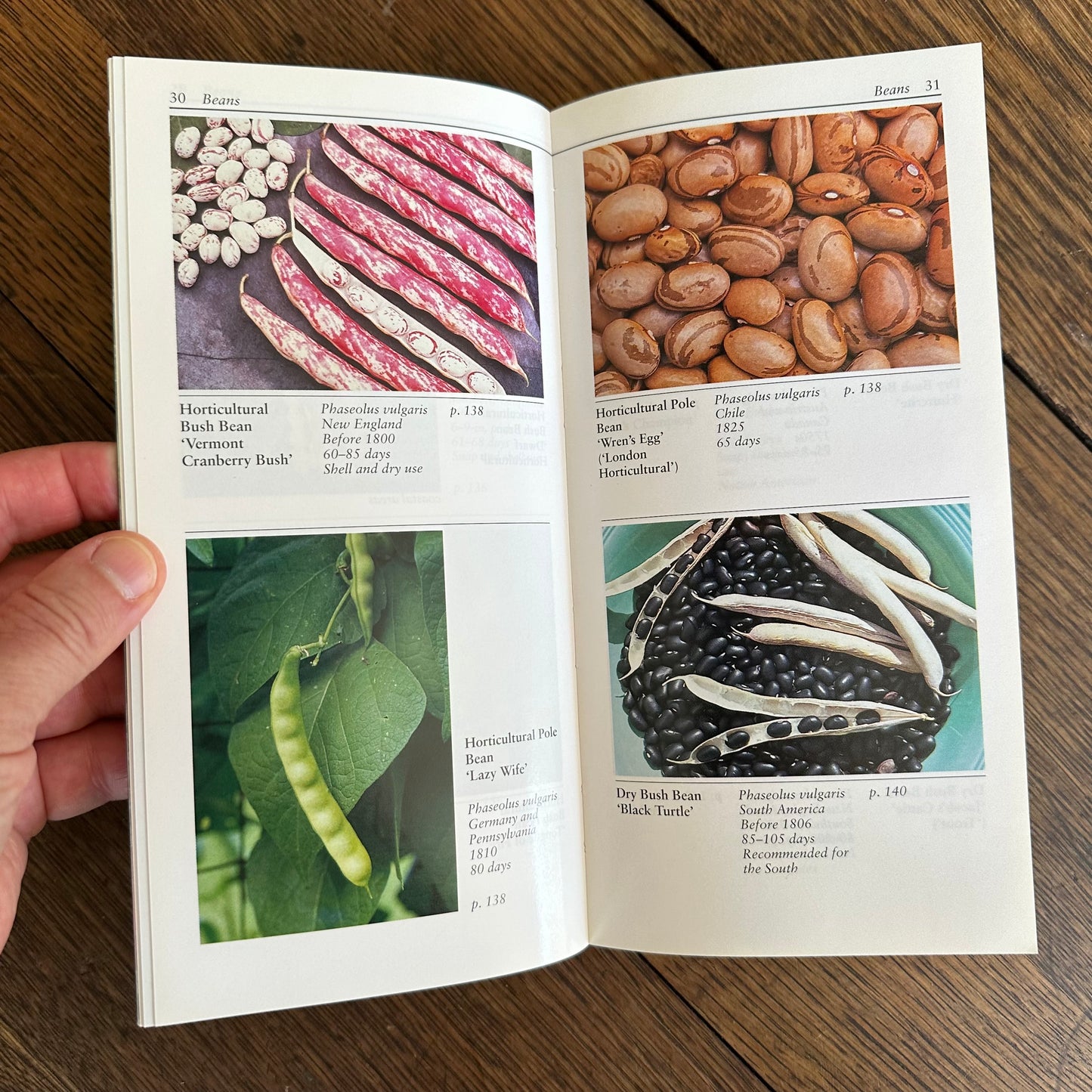 A Set of 7 Vintage Taylor’s Garden Guides!