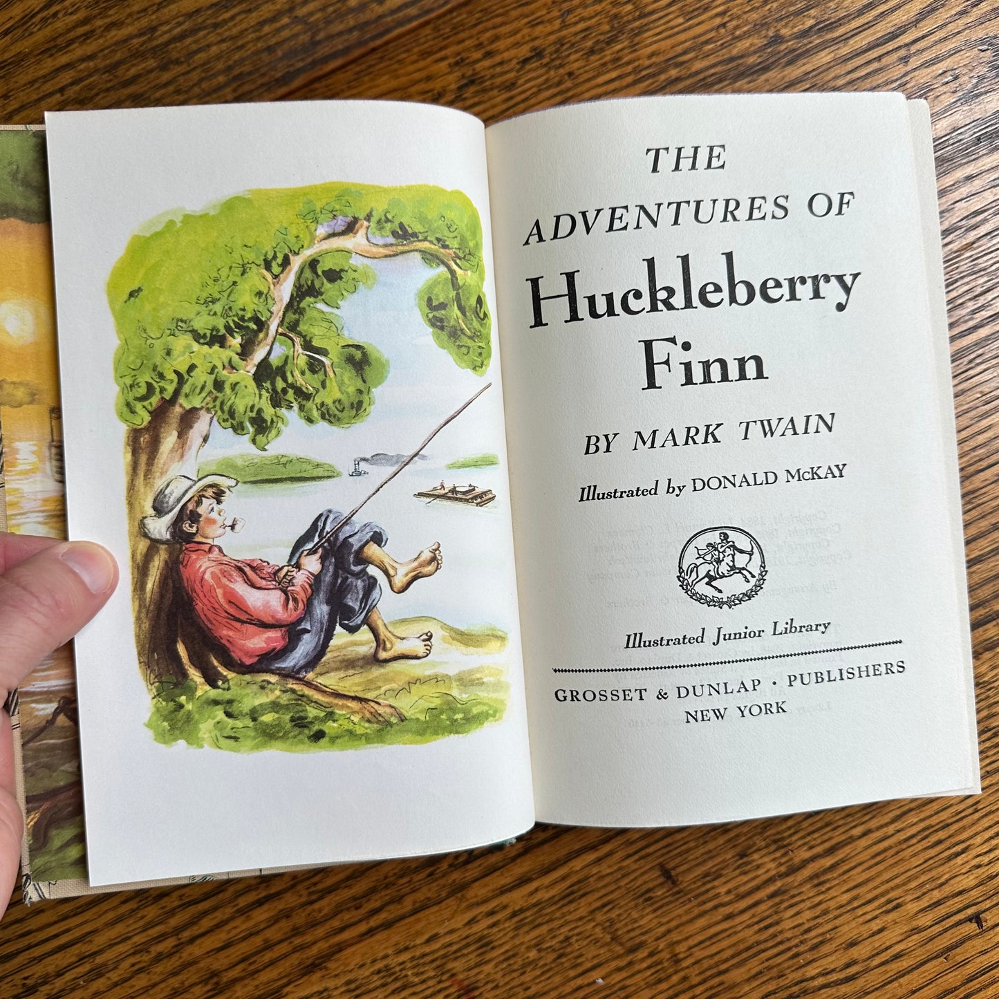 A Set of 6 Classics from the Illustrated Junior Library!
