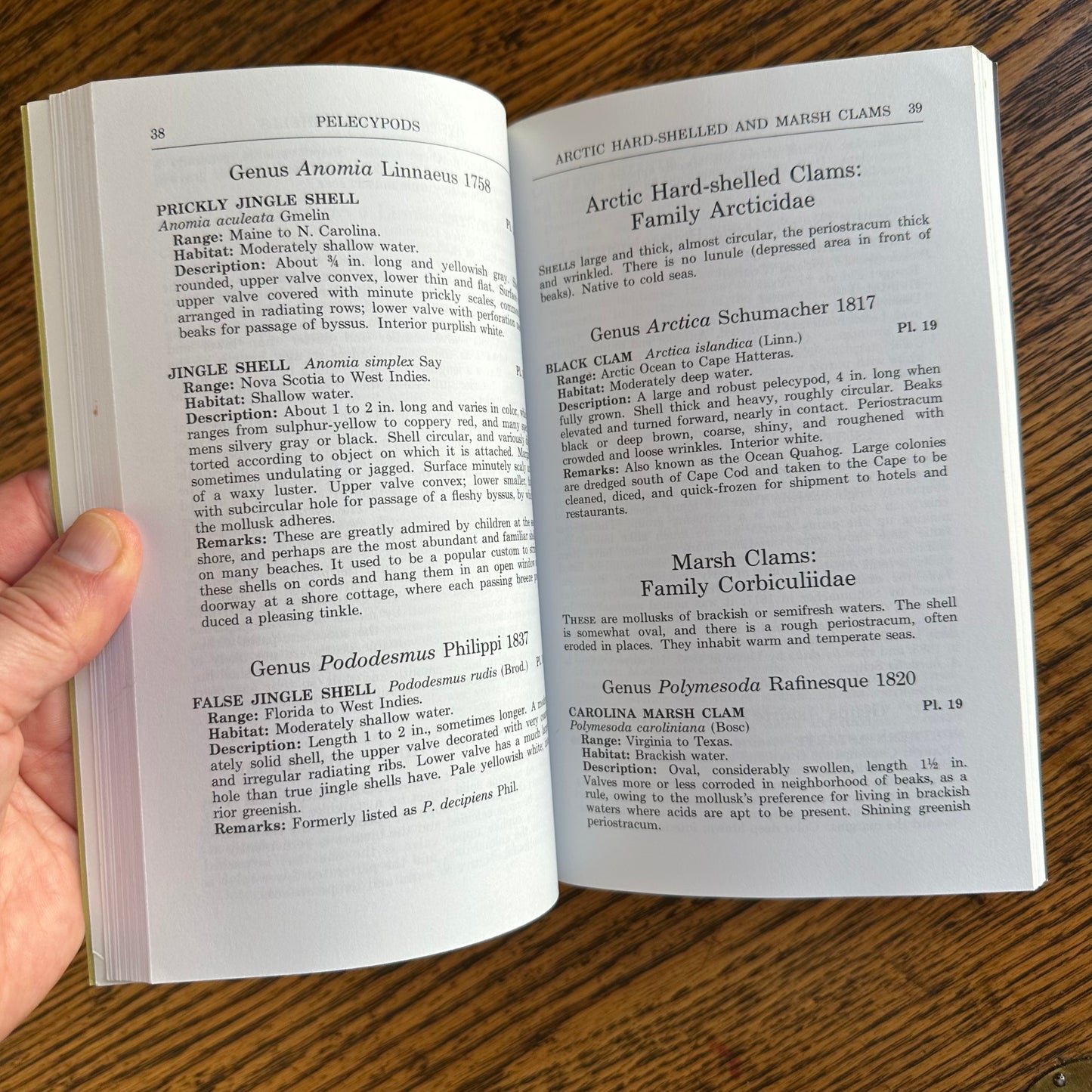 Set of 6 Vintage Peterson Field Guides | Softcover 1970s–80s Nature Books | Birds, Ferns, Wildflowers, Shells, Stars, Rocks