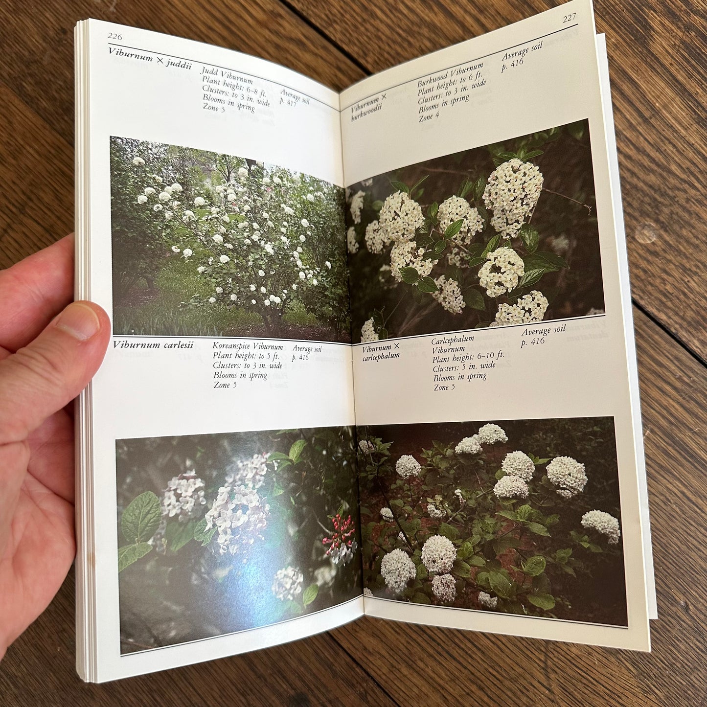 A Set of 7 Vintage Taylor’s Garden Guides!