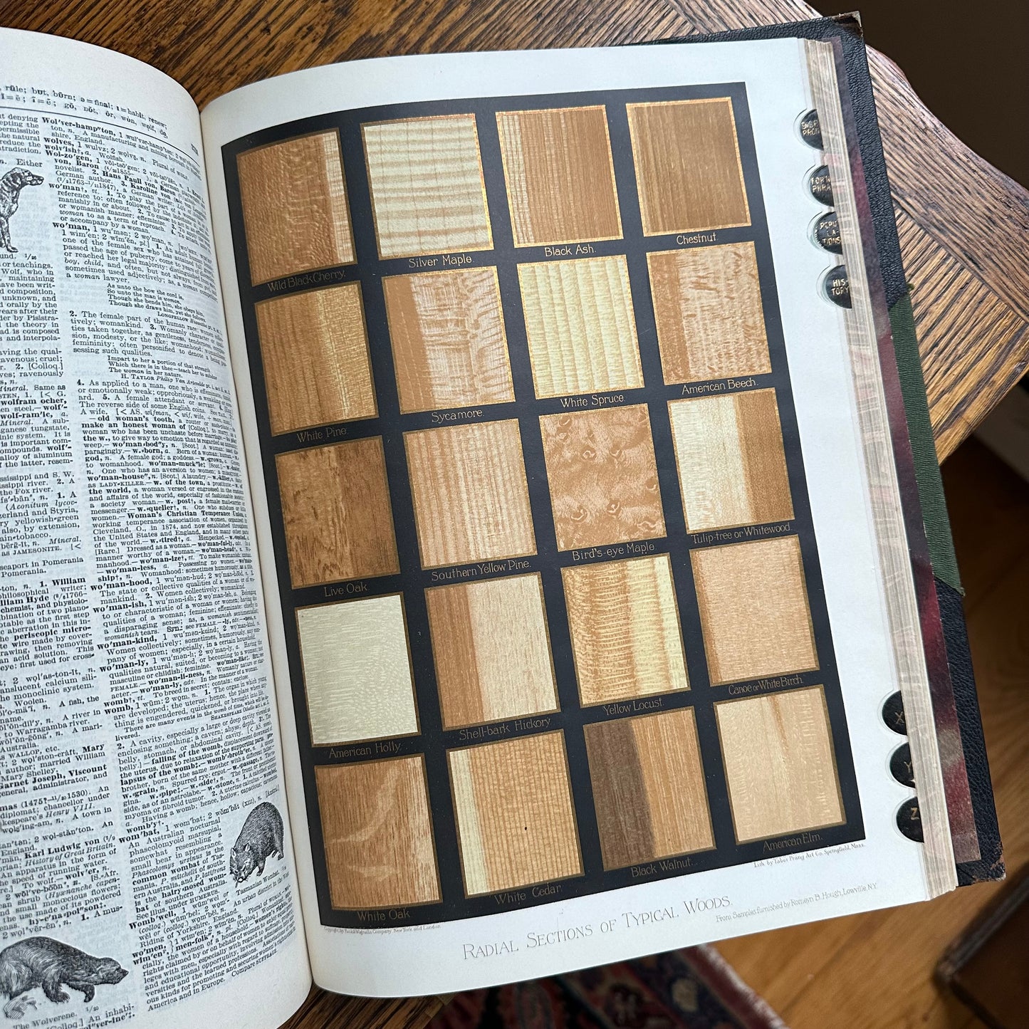 Funk & Wagnalls New Standard Dictionary - 1913