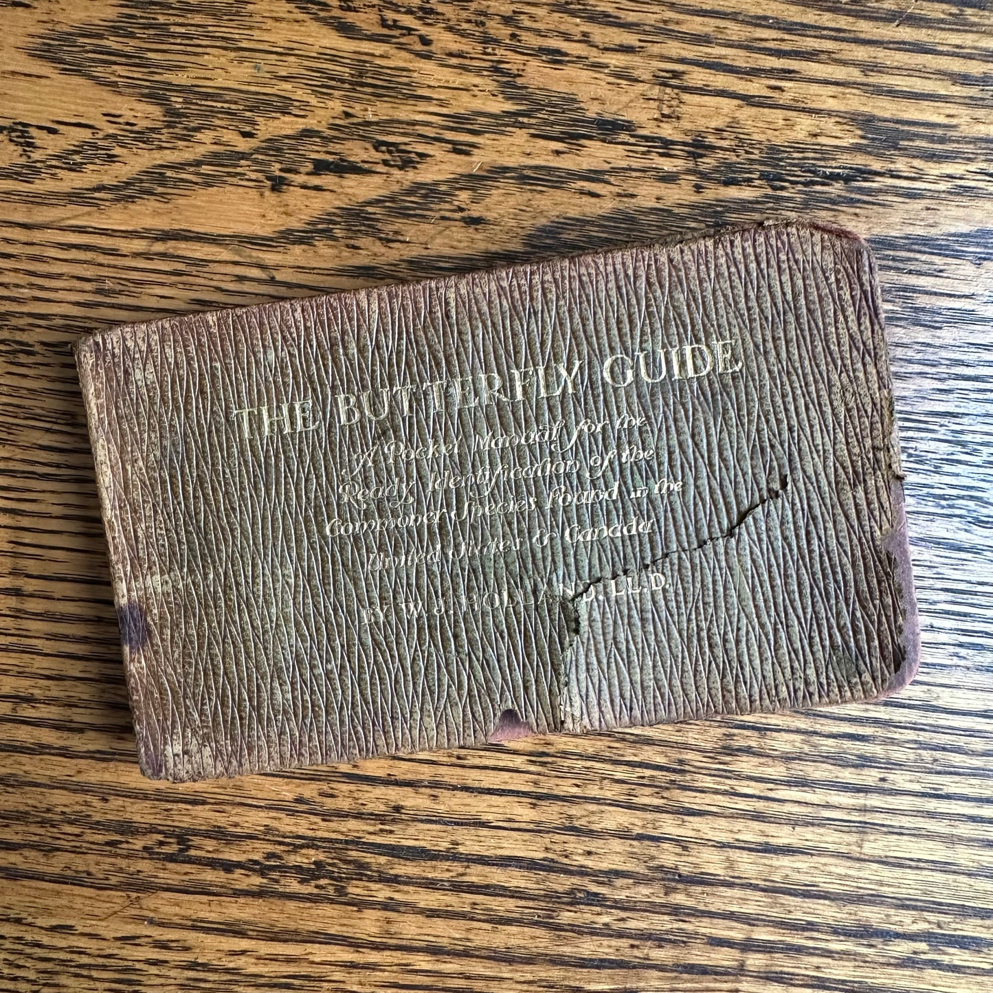 A Set of 3 Leather-Bound Pocket Nature Guides - 1916