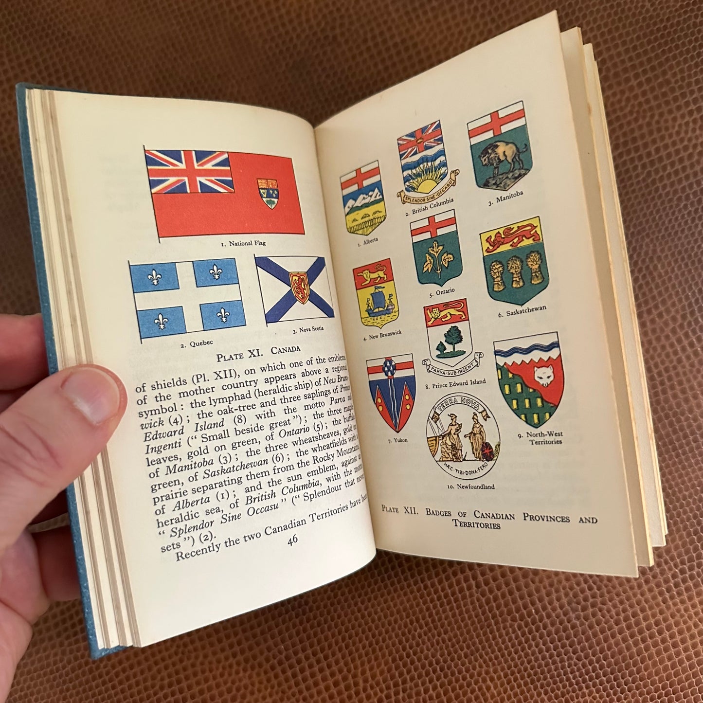 Three Little Observer’s Books!