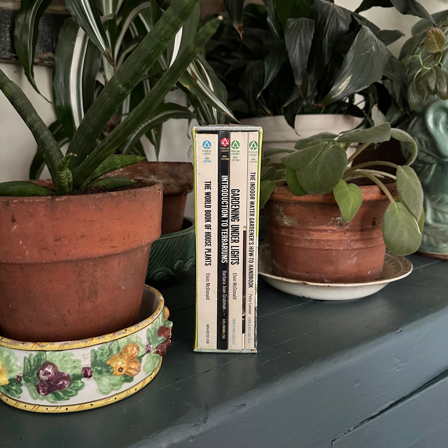 Everything You Need to Know About Growing House Plants… Successfully – 1970s Boxed Set of 4 Vintage Gardening Paperbacks – Still Sealed