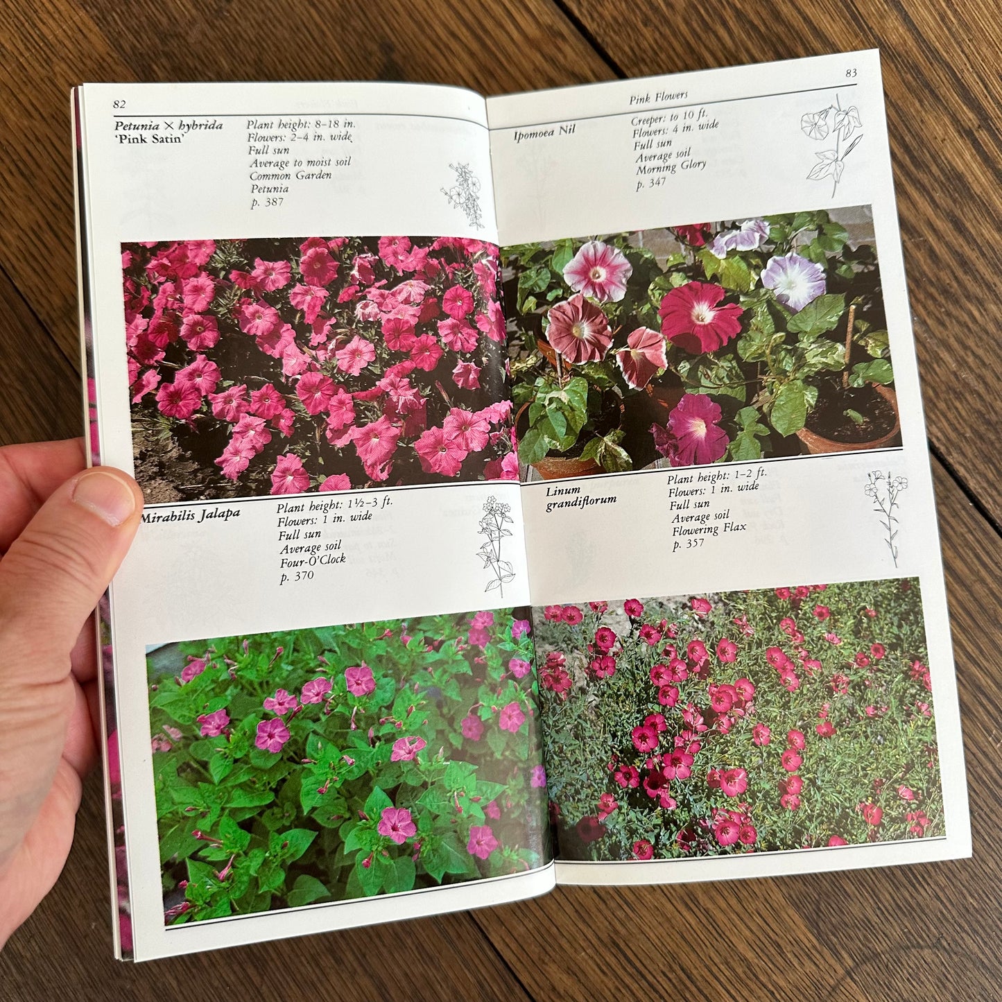 A Set of 7 Vintage Taylor’s Garden Guides!