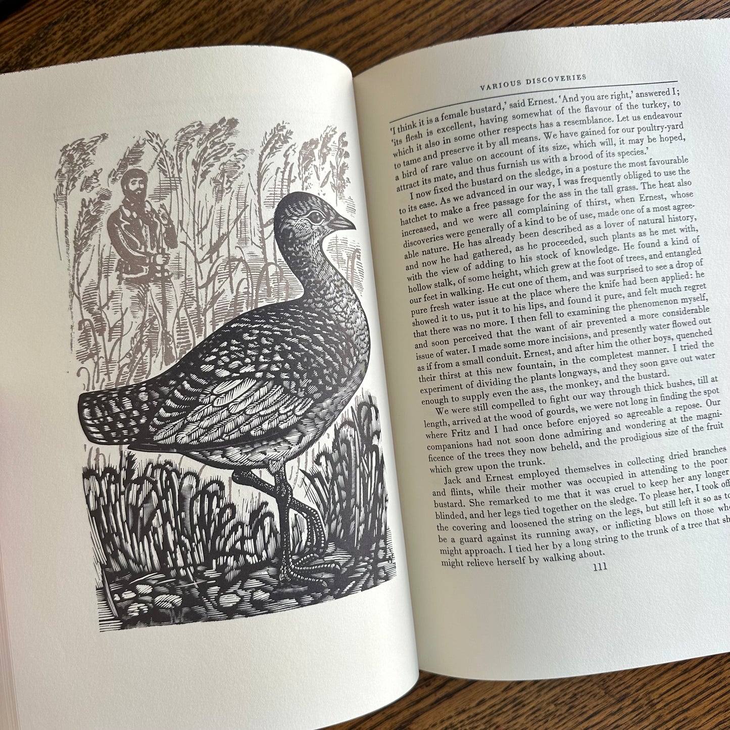 A Set of 6 Illustrated Vintage Classics