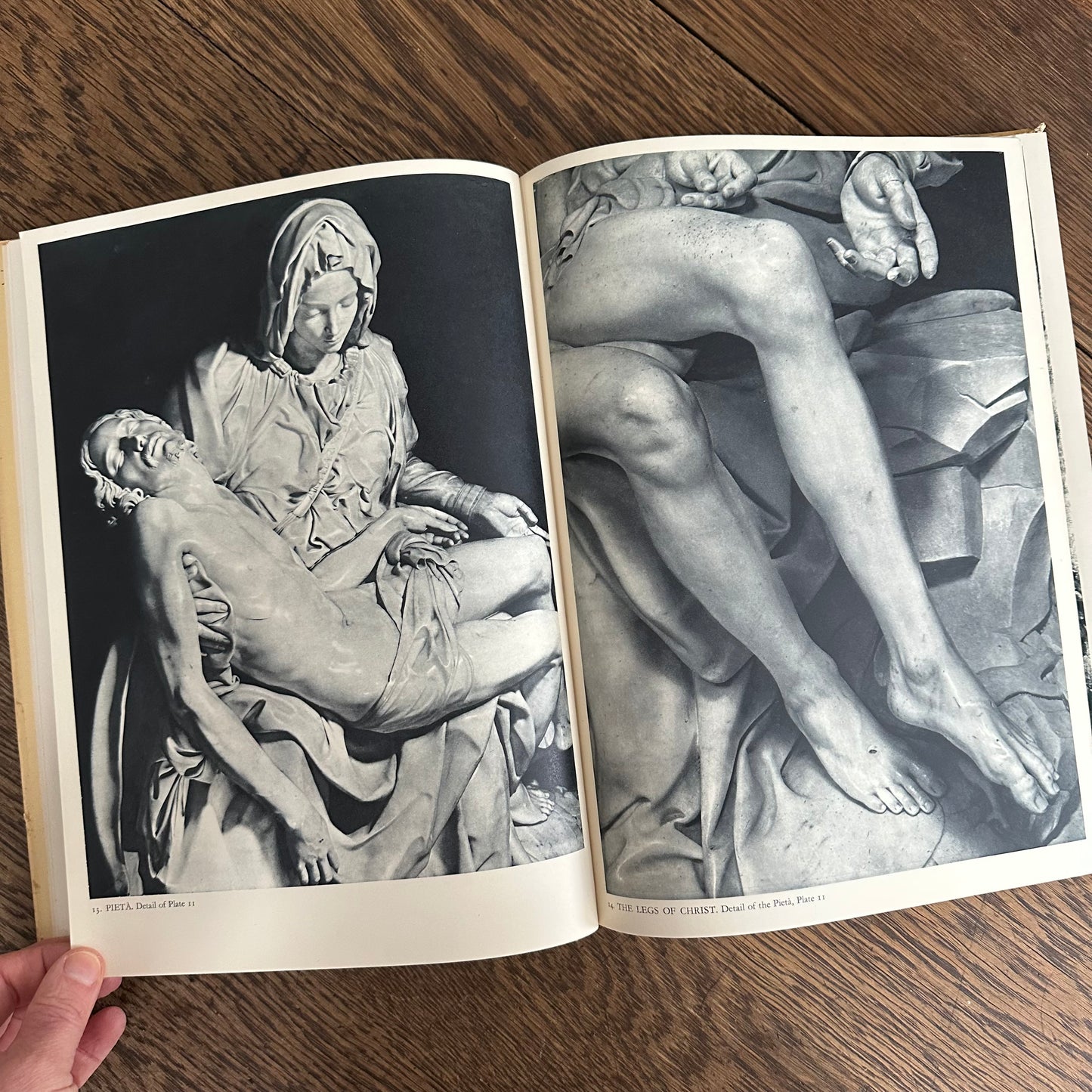 Michelangelo: Paintings, Sculptures, Architecture, 1954