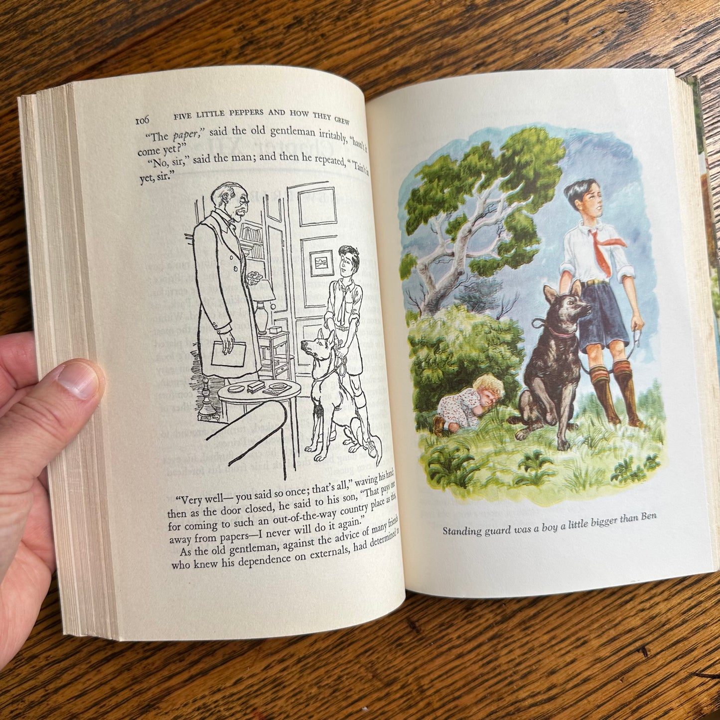 A Set of 6 Classics from the Illustrated Junior Library!