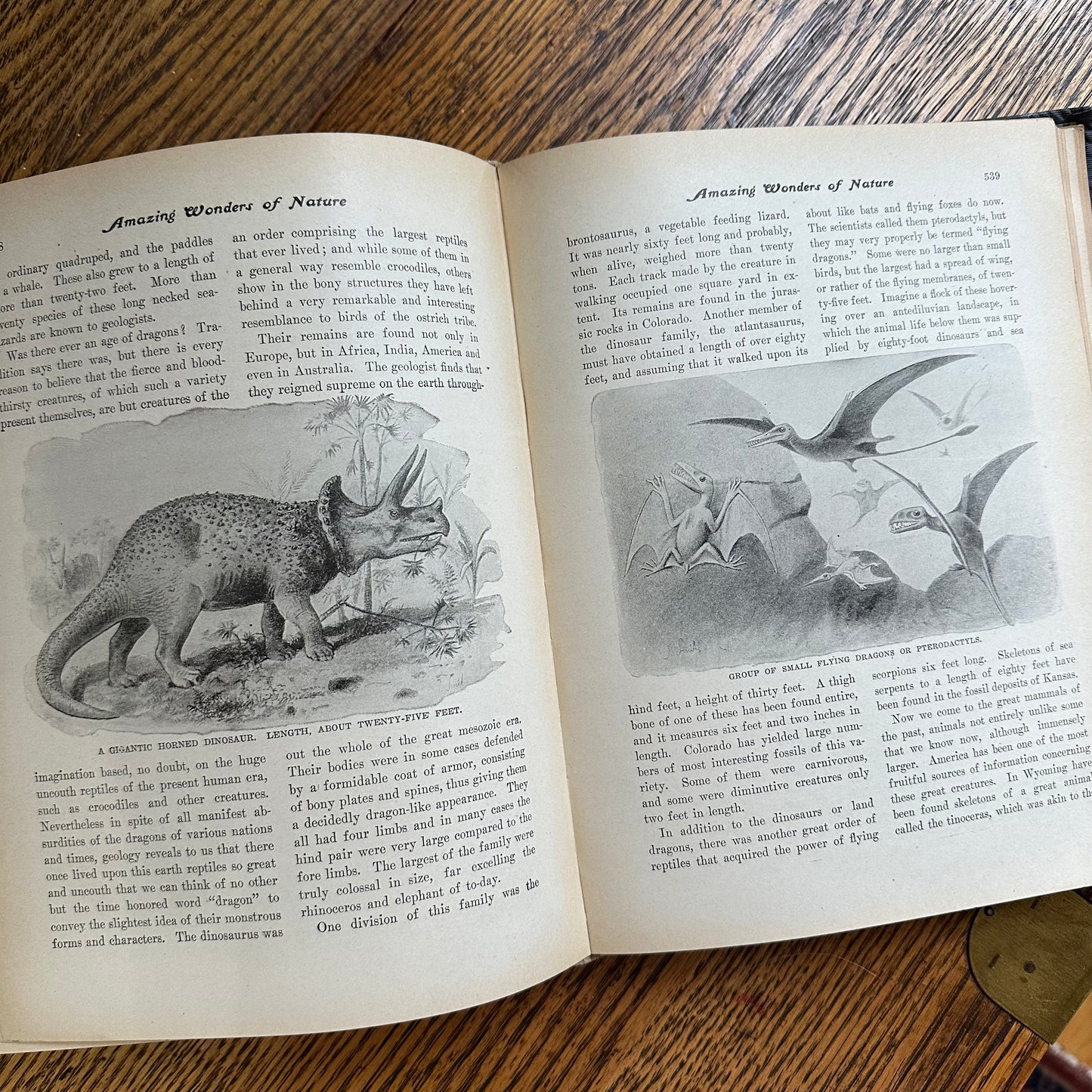 The World’s Triumphant Knowledge and Works - 1902