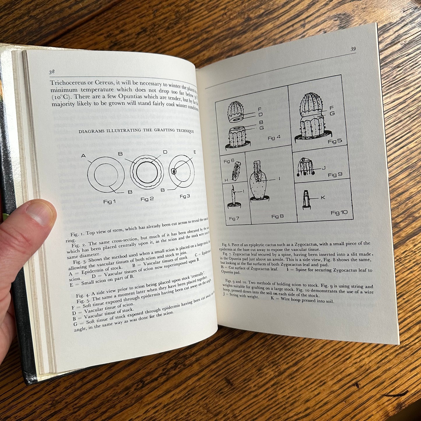 SIGNED 1978 Pocket Encyclopedia of Cacti in Color!