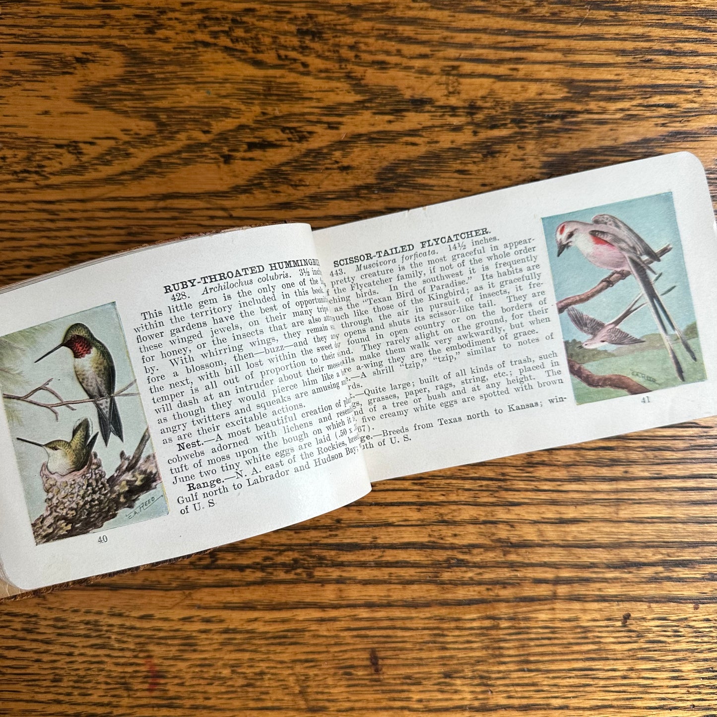 A Set of 3 Leather-Bound Pocket Nature Guides - 1916