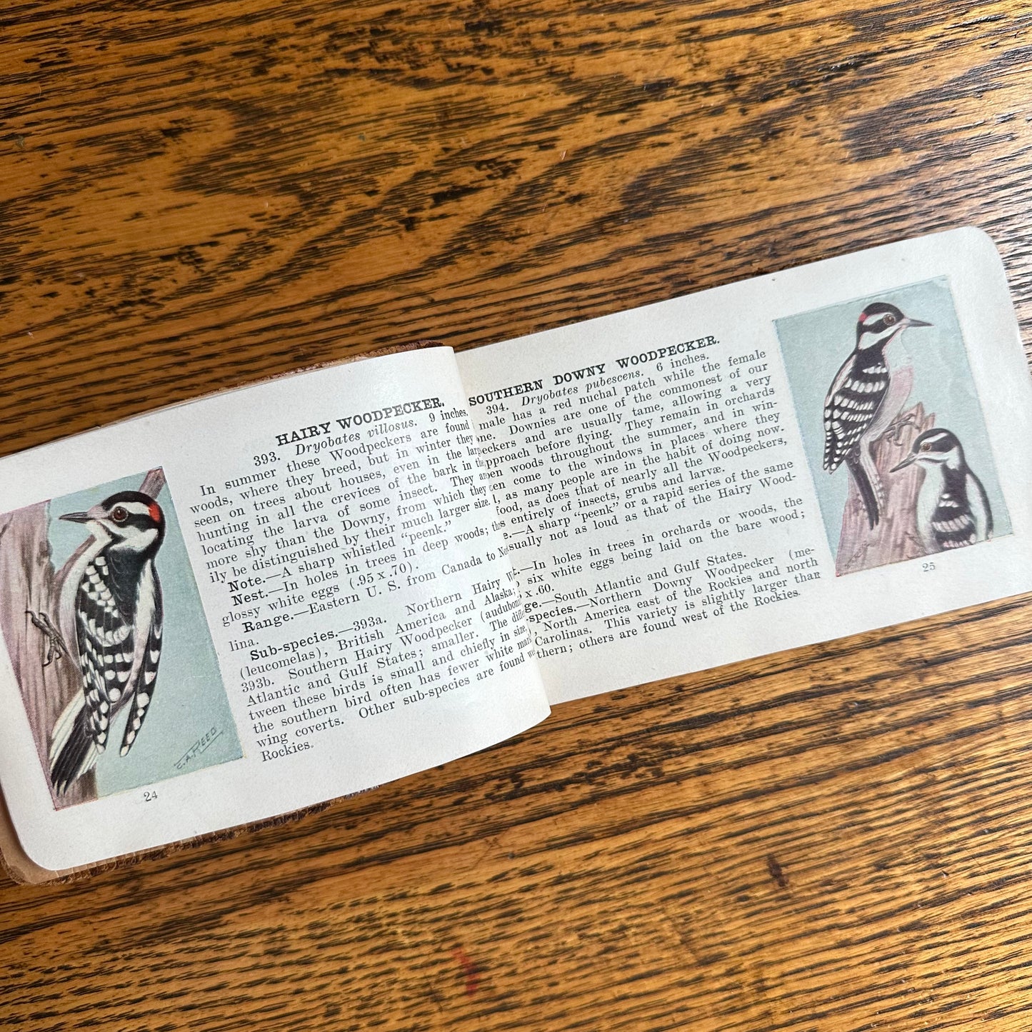 A Set of 3 Leather-Bound Pocket Nature Guides - 1916