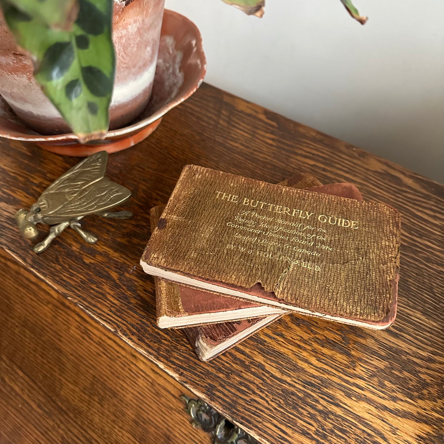 A Set of 3 Leather-Bound Pocket Nature Guides - 1916