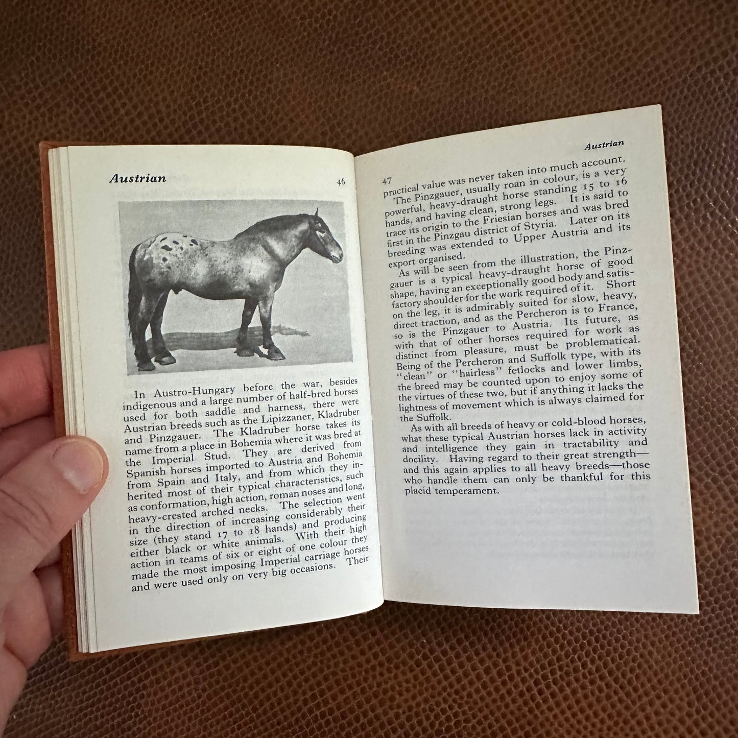 Three Little Observer’s Books!