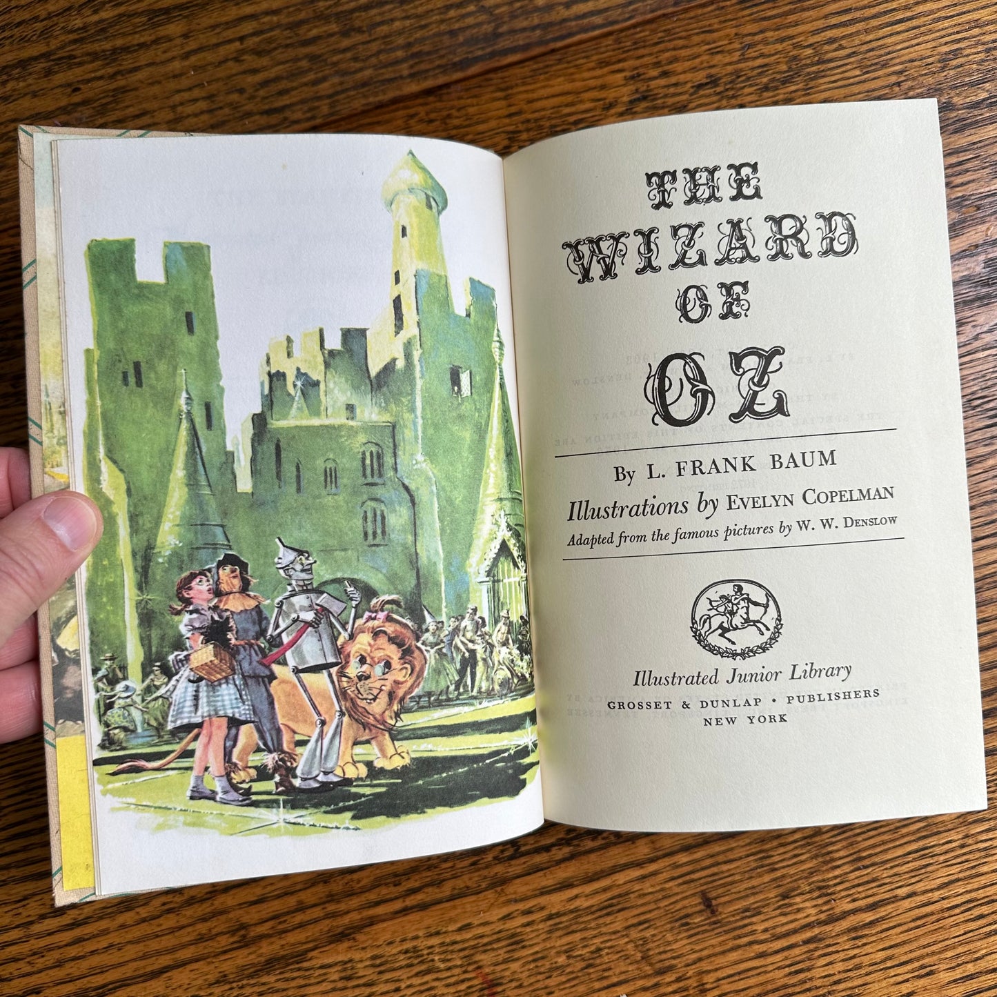 A Set of 6 Classics from the Illustrated Junior Library!