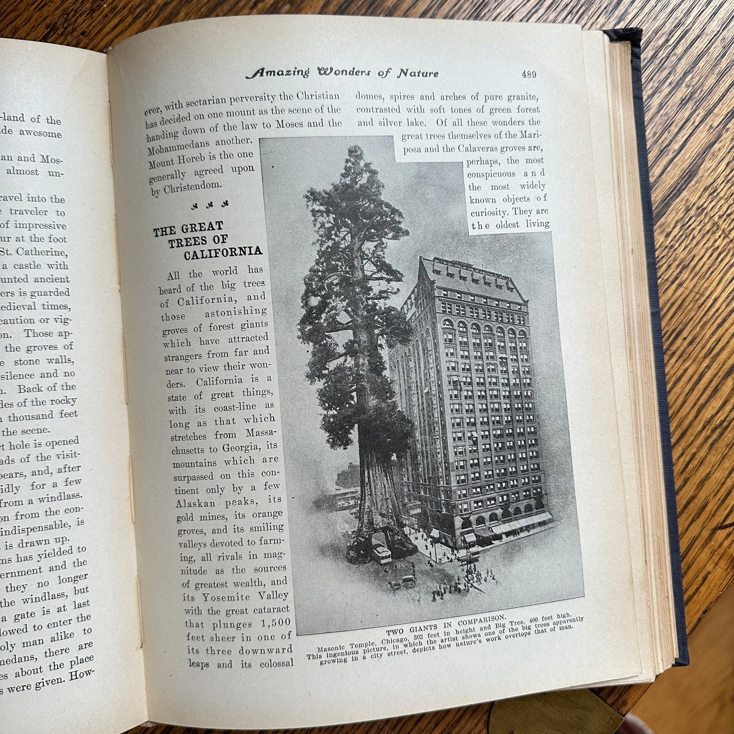 The World’s Triumphant Knowledge and Works - 1902