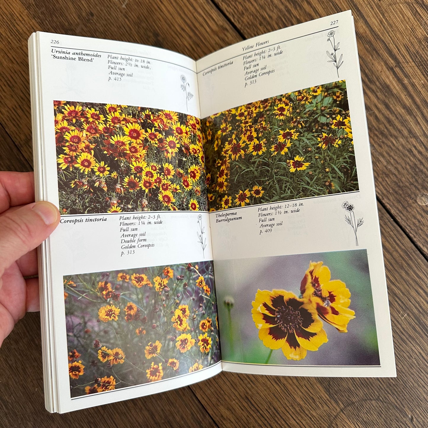 A Set of 7 Vintage Taylor’s Garden Guides!