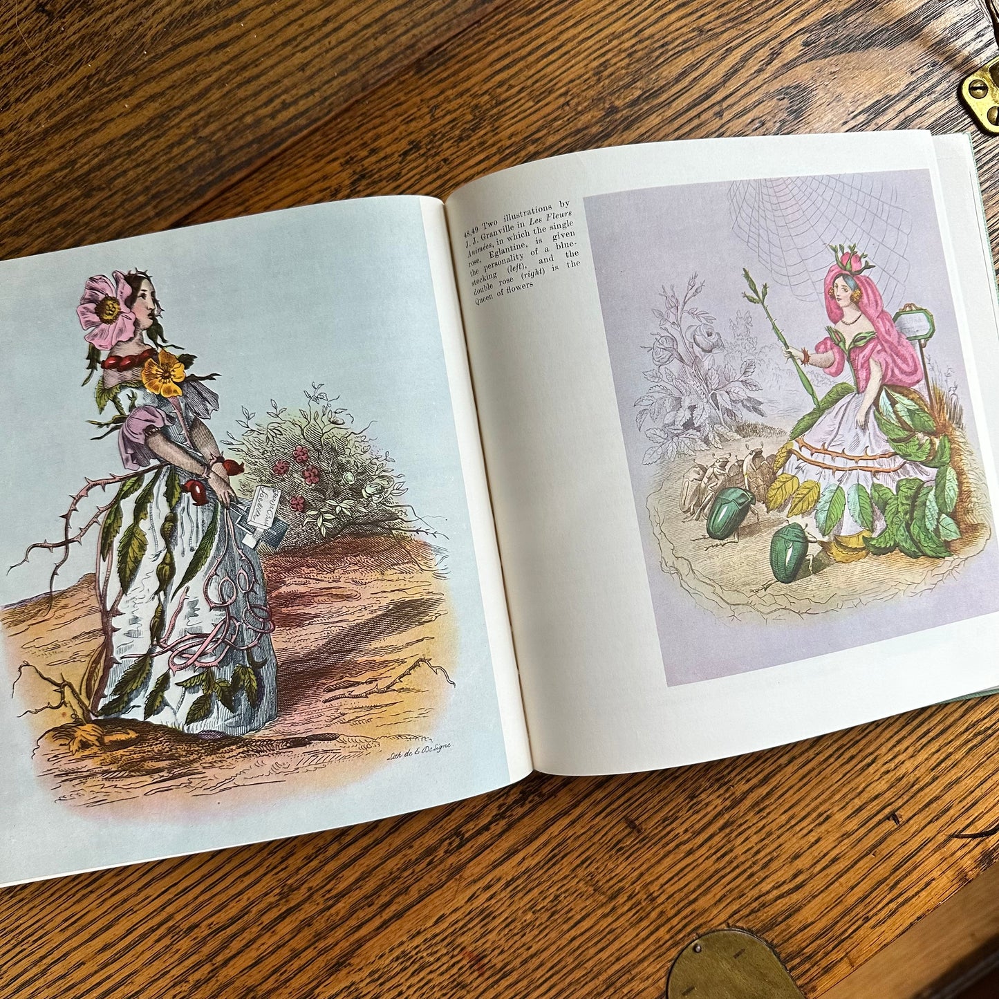 Peter Coats’ Roses: Pleasures and Treasures - 1962