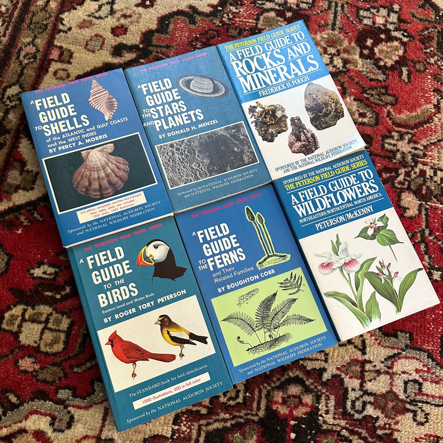 Set of 6 Vintage Peterson Field Guides | Softcover 1970s–80s Nature Books | Birds, Ferns, Wildflowers, Shells, Stars, Rocks