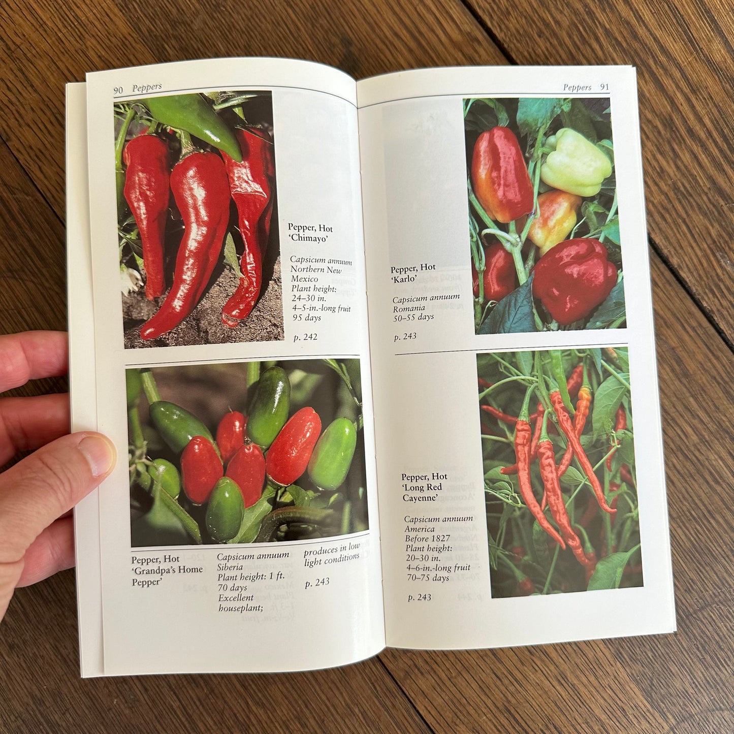A Set of 7 Vintage Taylor’s Garden Guides!