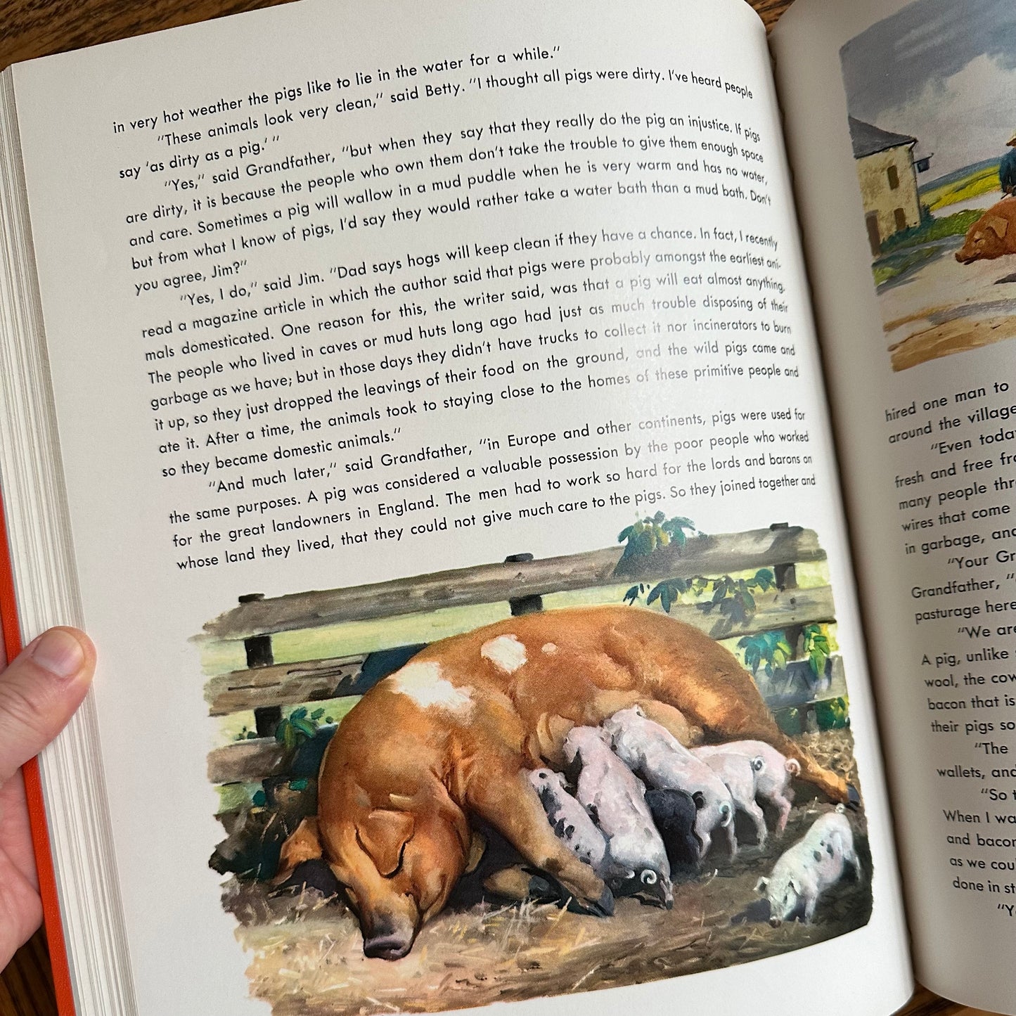 Animal Story Book - 1954