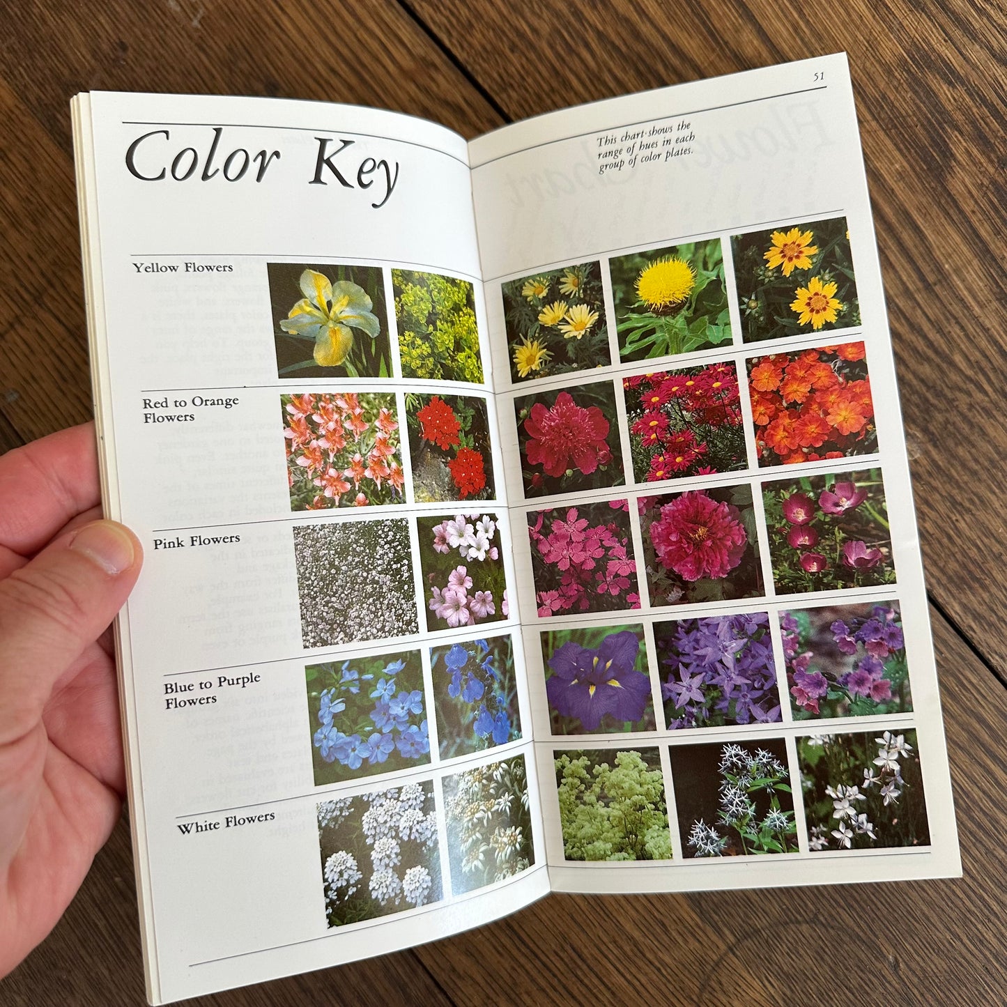 A Set of 7 Vintage Taylor’s Garden Guides!