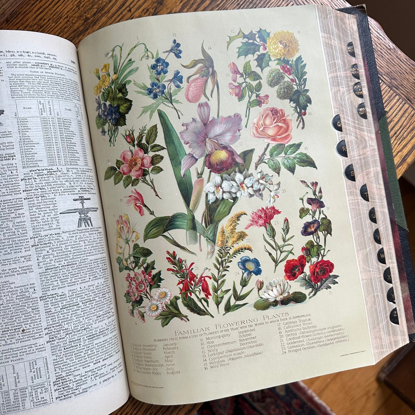 Funk & Wagnalls New Standard Dictionary - 1913