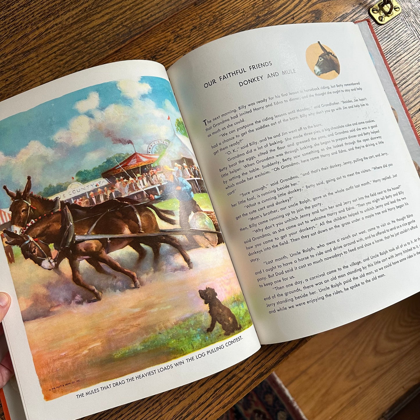 Animal Story Book - 1954