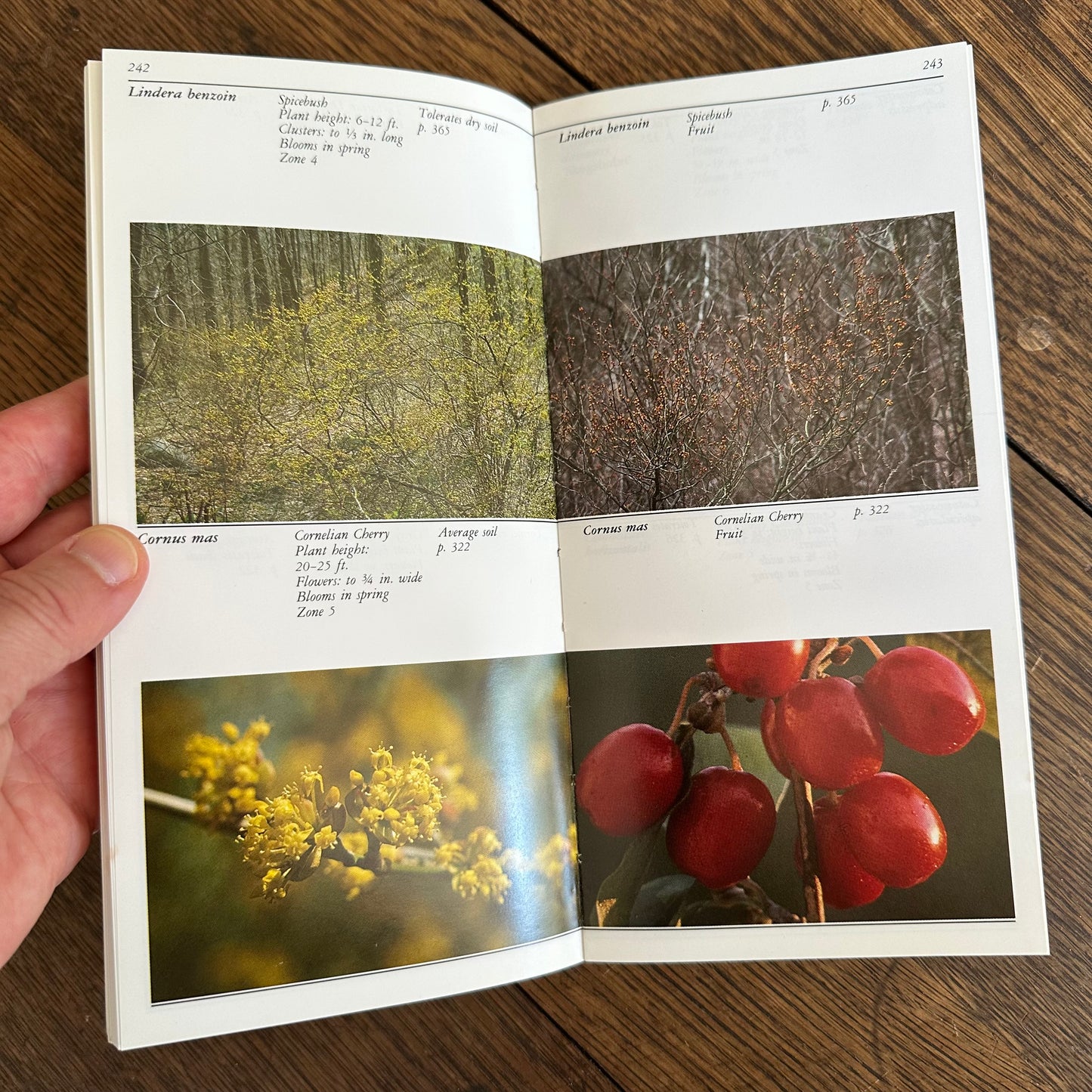 A Set of 7 Vintage Taylor’s Garden Guides!