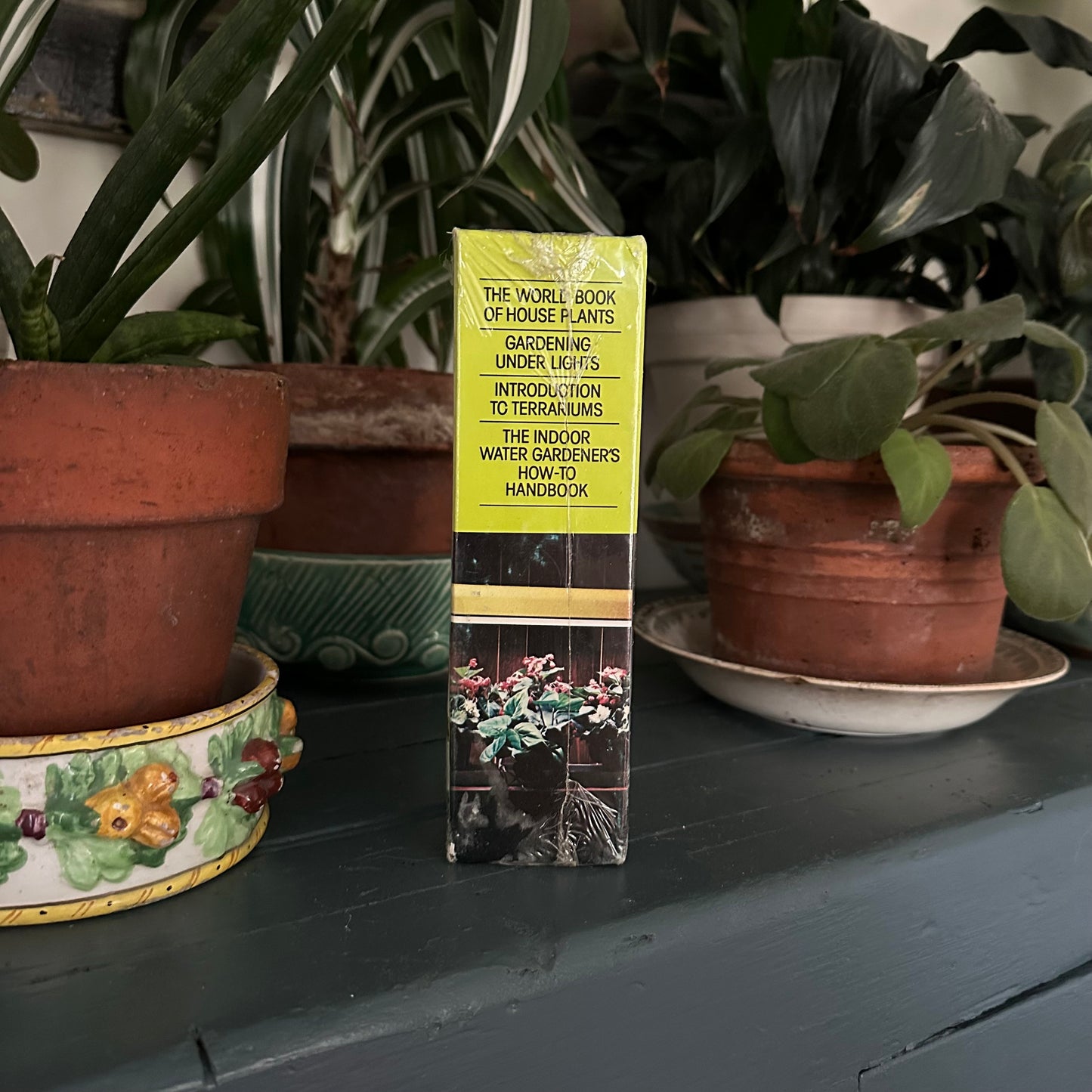 Everything You Need to Know About Growing House Plants… Successfully – 1970s Boxed Set of 4 Vintage Gardening Paperbacks – Still Sealed