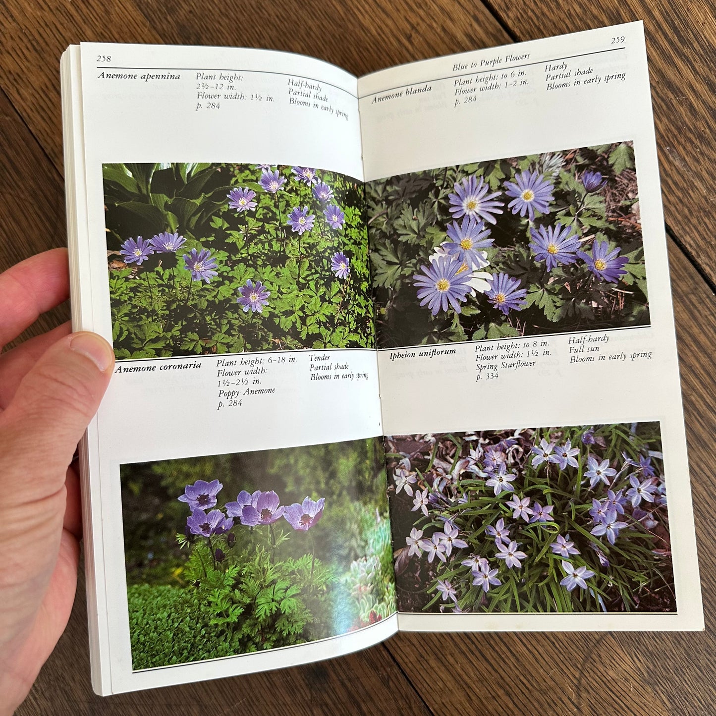 A Set of 7 Vintage Taylor’s Garden Guides!