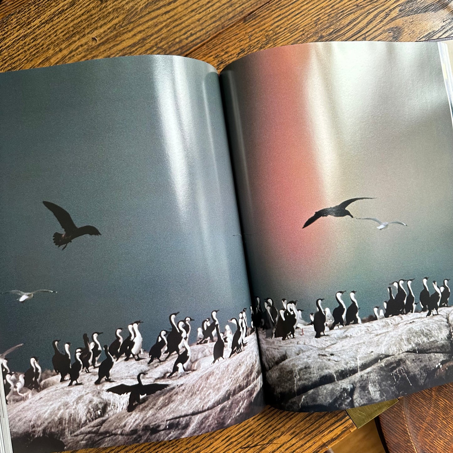 Stack of 6 Vintage World Traveller-Themed Coffee Table Books