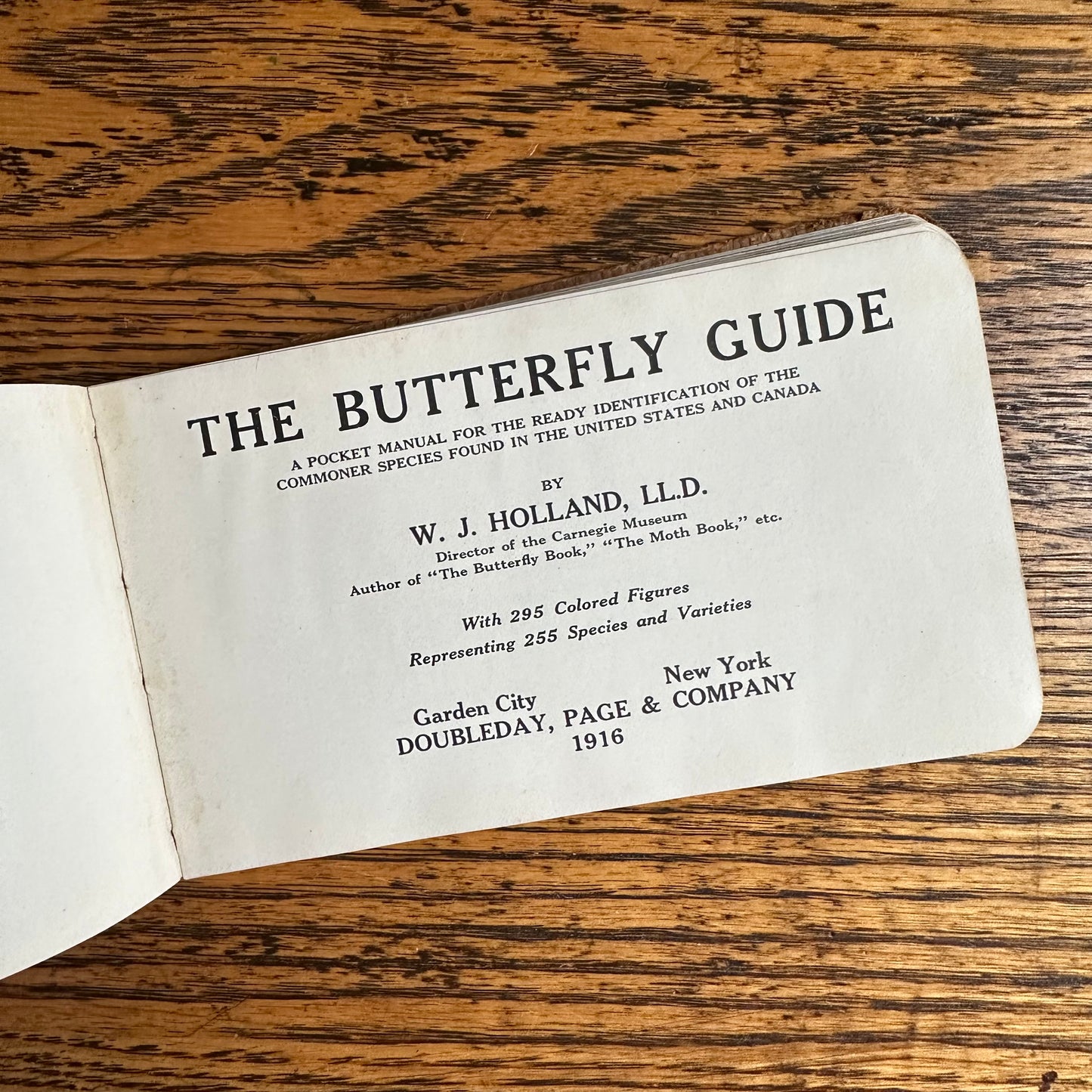 A Set of 3 Leather-Bound Pocket Nature Guides - 1916