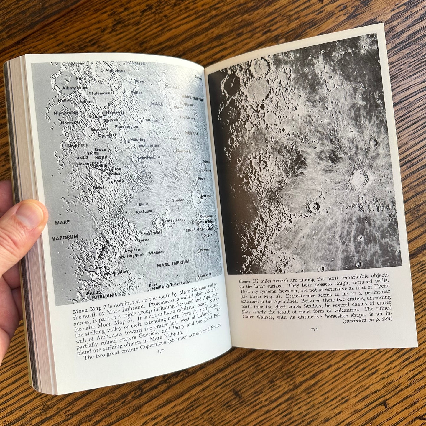 Set of 6 Vintage Peterson Field Guides | Softcover 1970s–80s Nature Books | Birds, Ferns, Wildflowers, Shells, Stars, Rocks