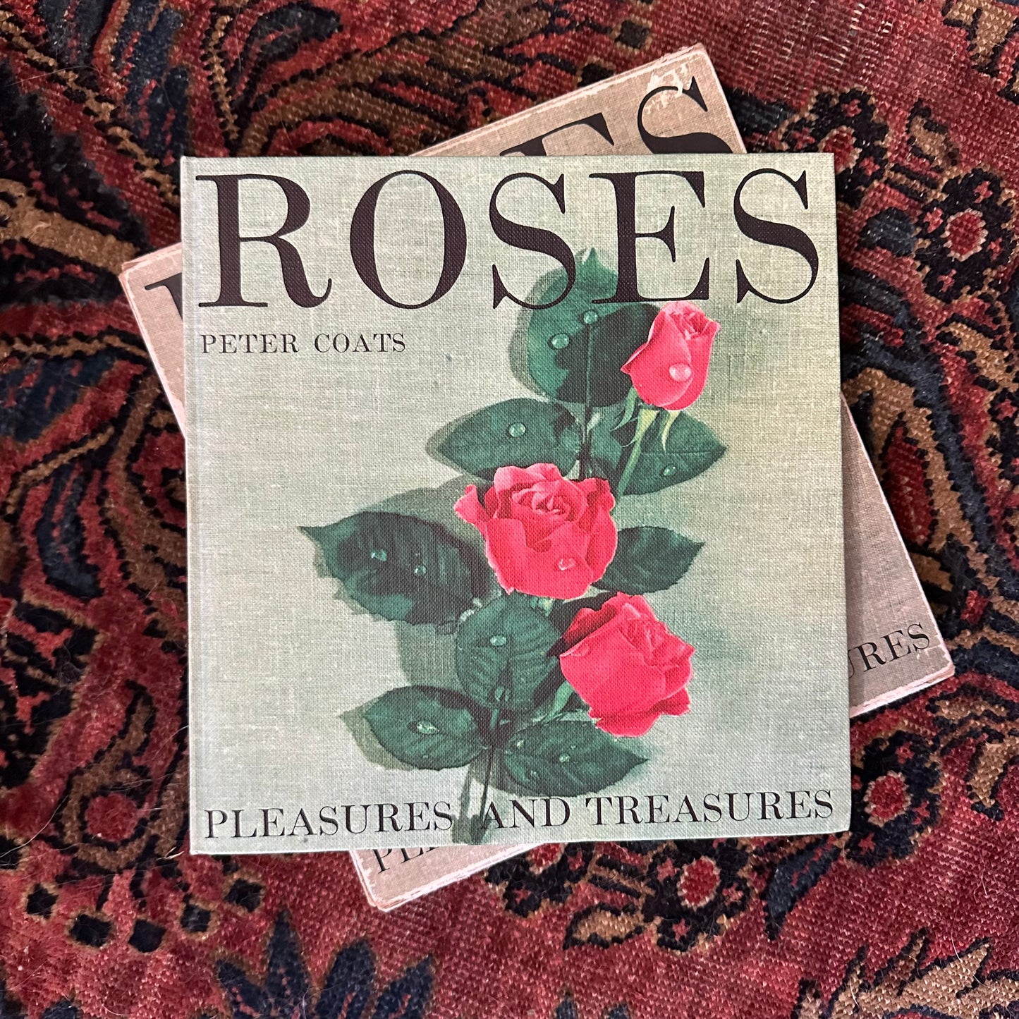 Peter Coats’ Roses: Pleasures and Treasures - 1962