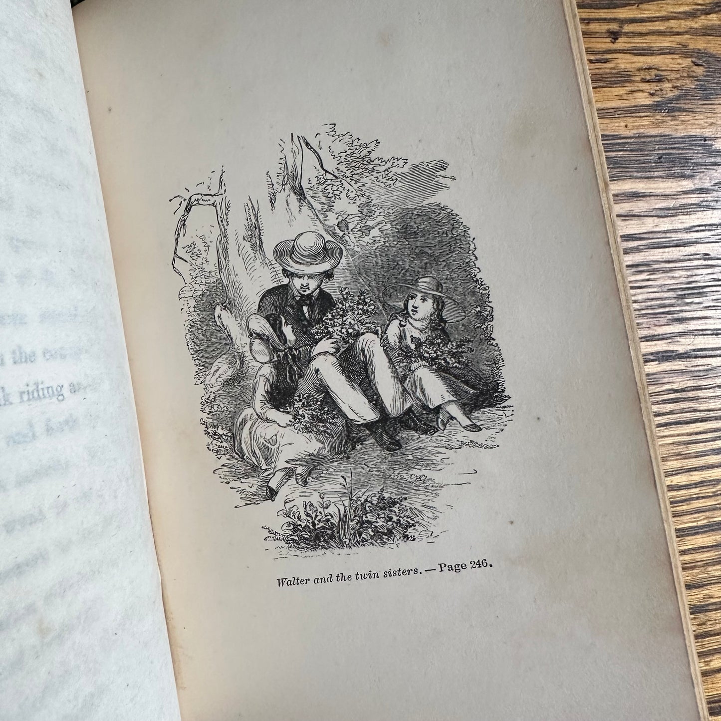 A Set of 4 1809 Storybooks from The Woodbine Series