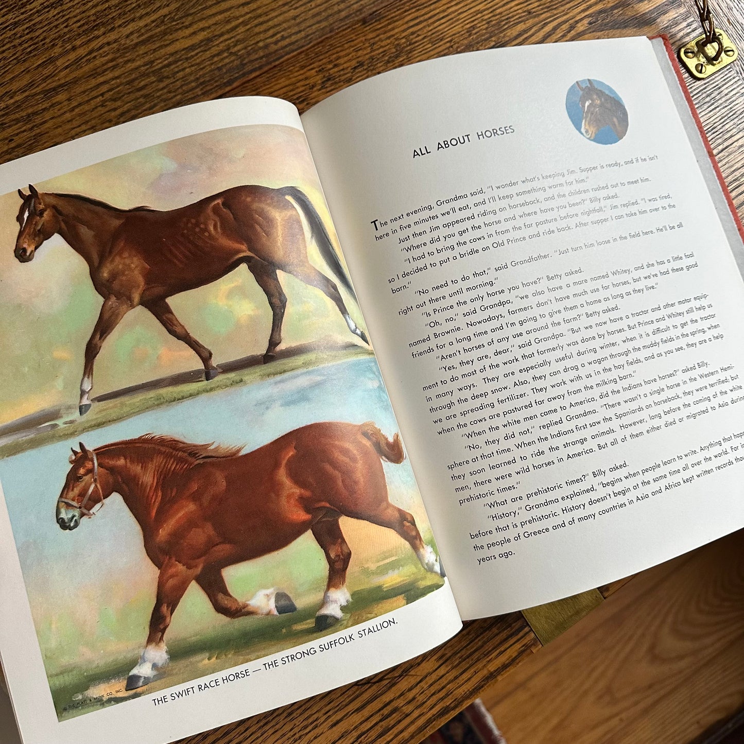 Animal Story Book - 1954