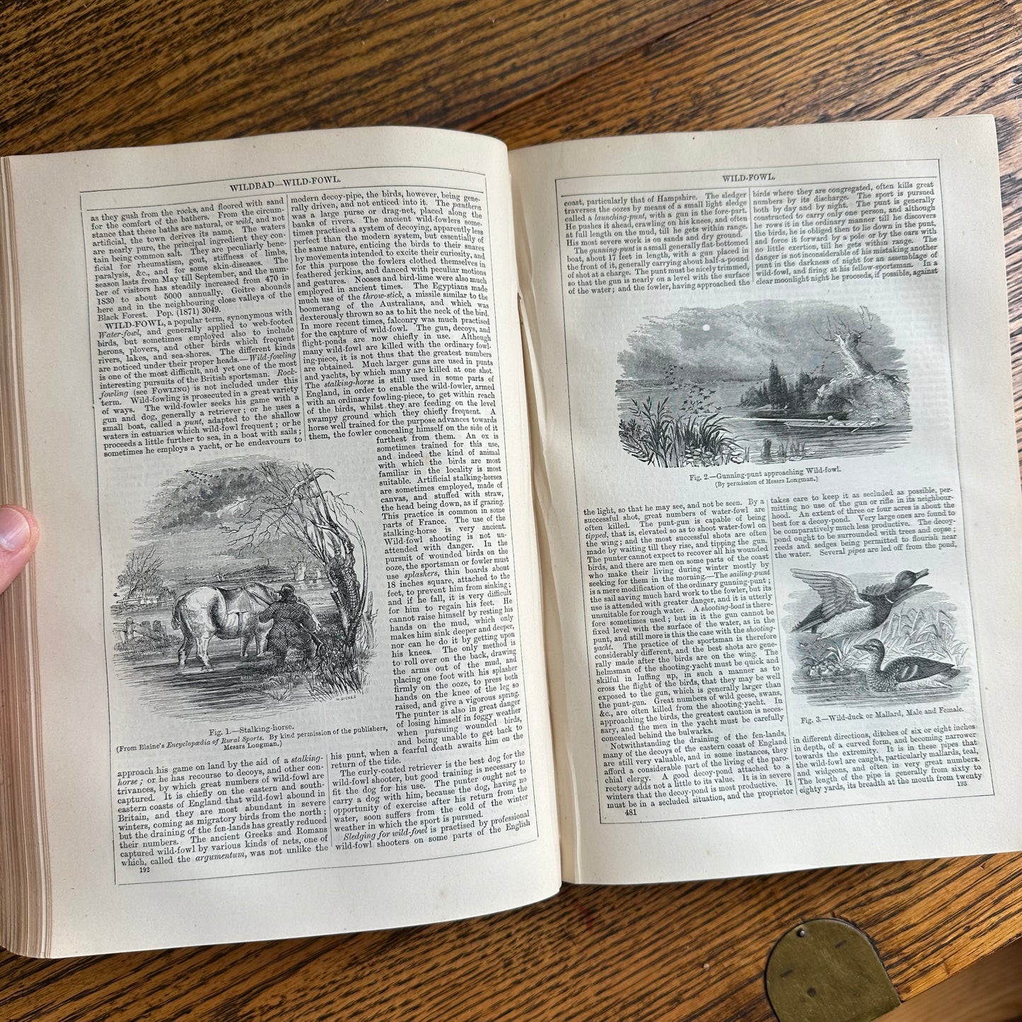 Chambers’s Encyclopaedia - 1877 - in 10 Volumes