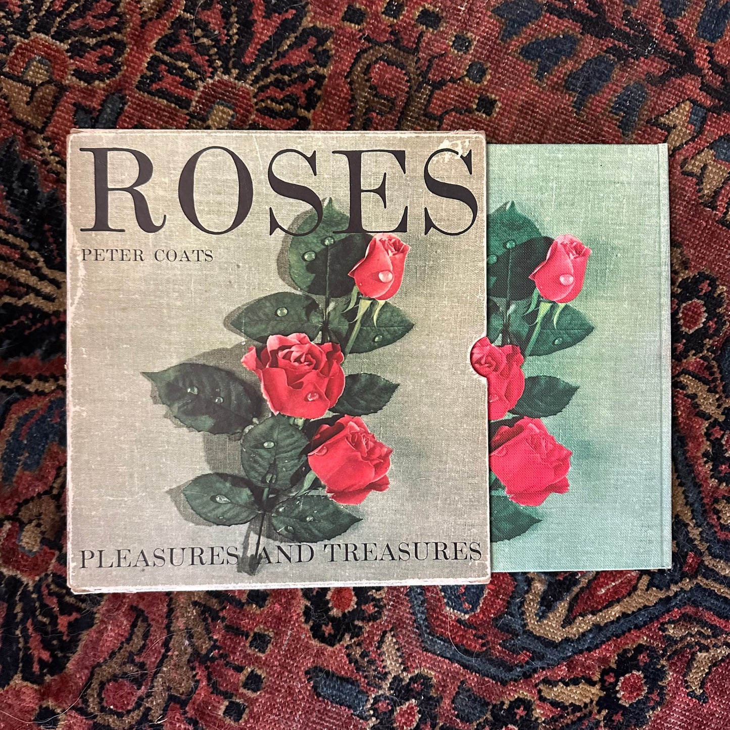 Peter Coats’ Roses: Pleasures and Treasures - 1962