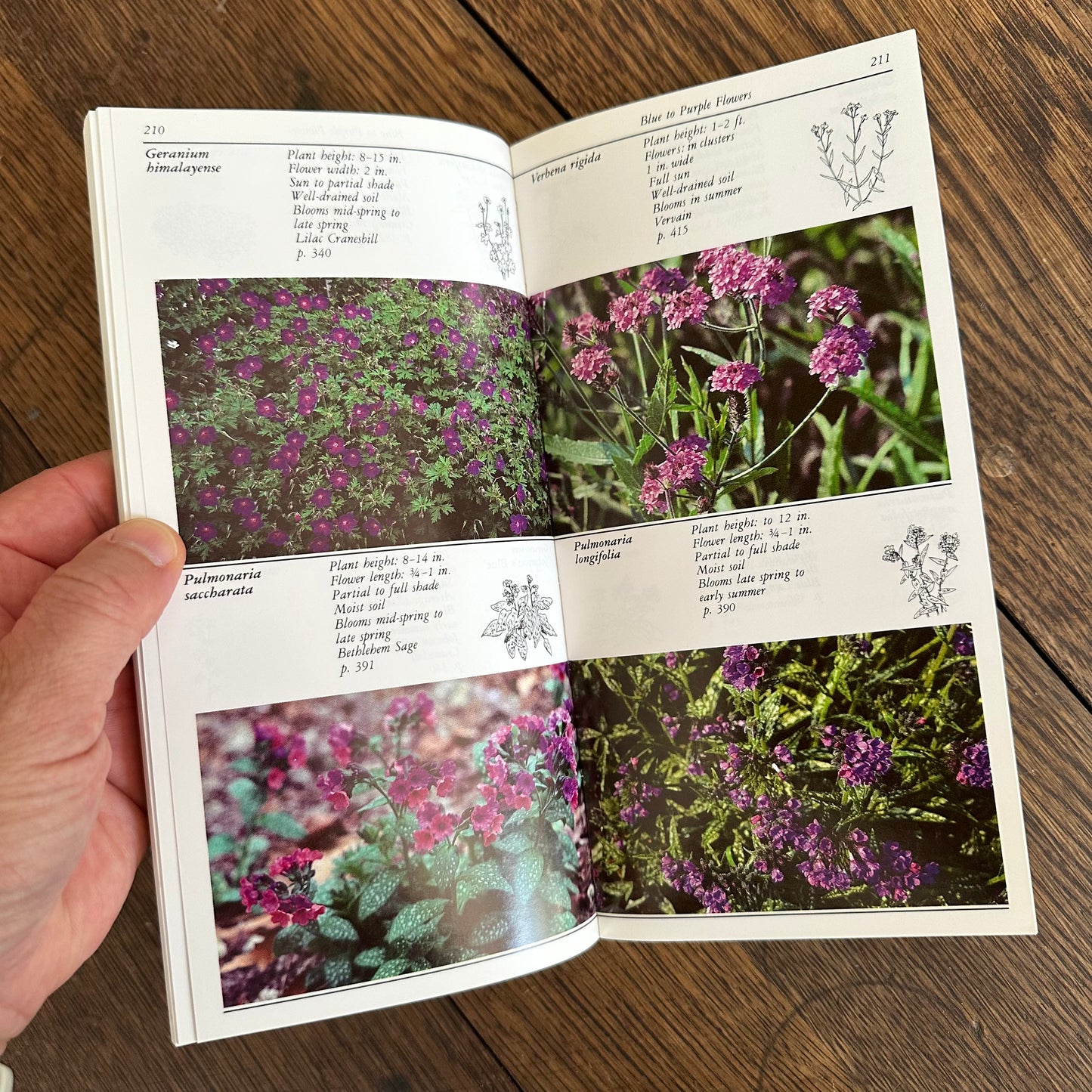 A Set of 7 Vintage Taylor’s Garden Guides!