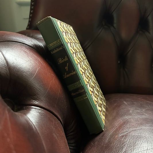 Audubon’s Birds of America - 1950 Popular Edition