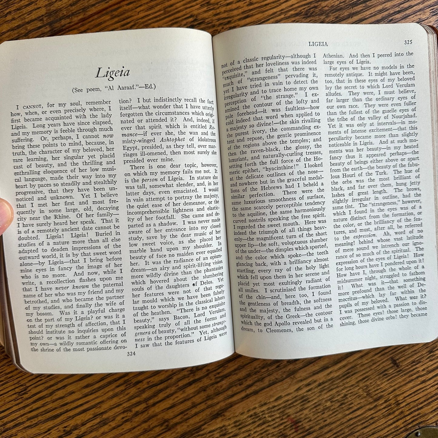 A Set of 2 Antique Leather-Bound Books of Mystery and Intrigue - 1927-28