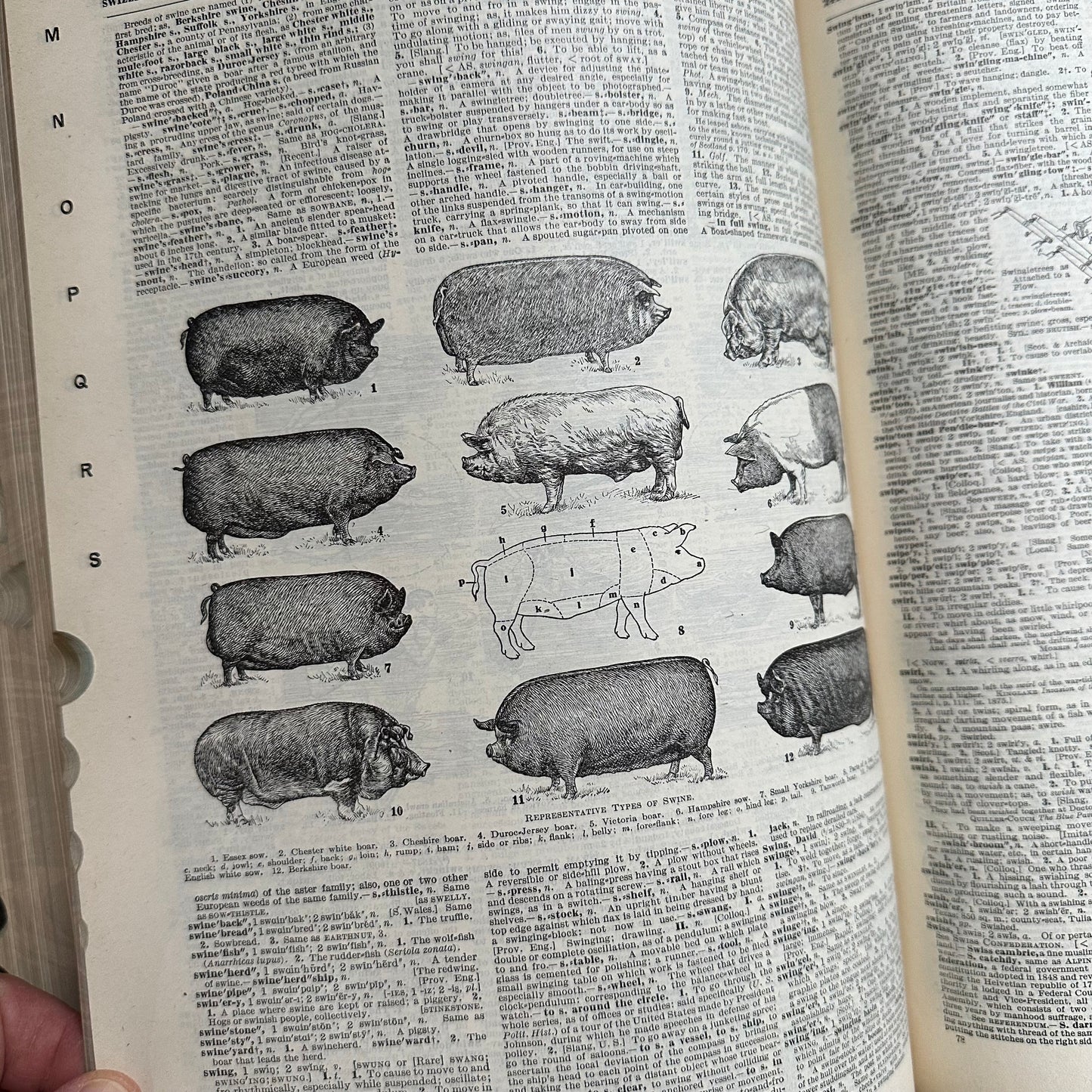 Funk & Wagnalls New Standard Dictionary - 1913