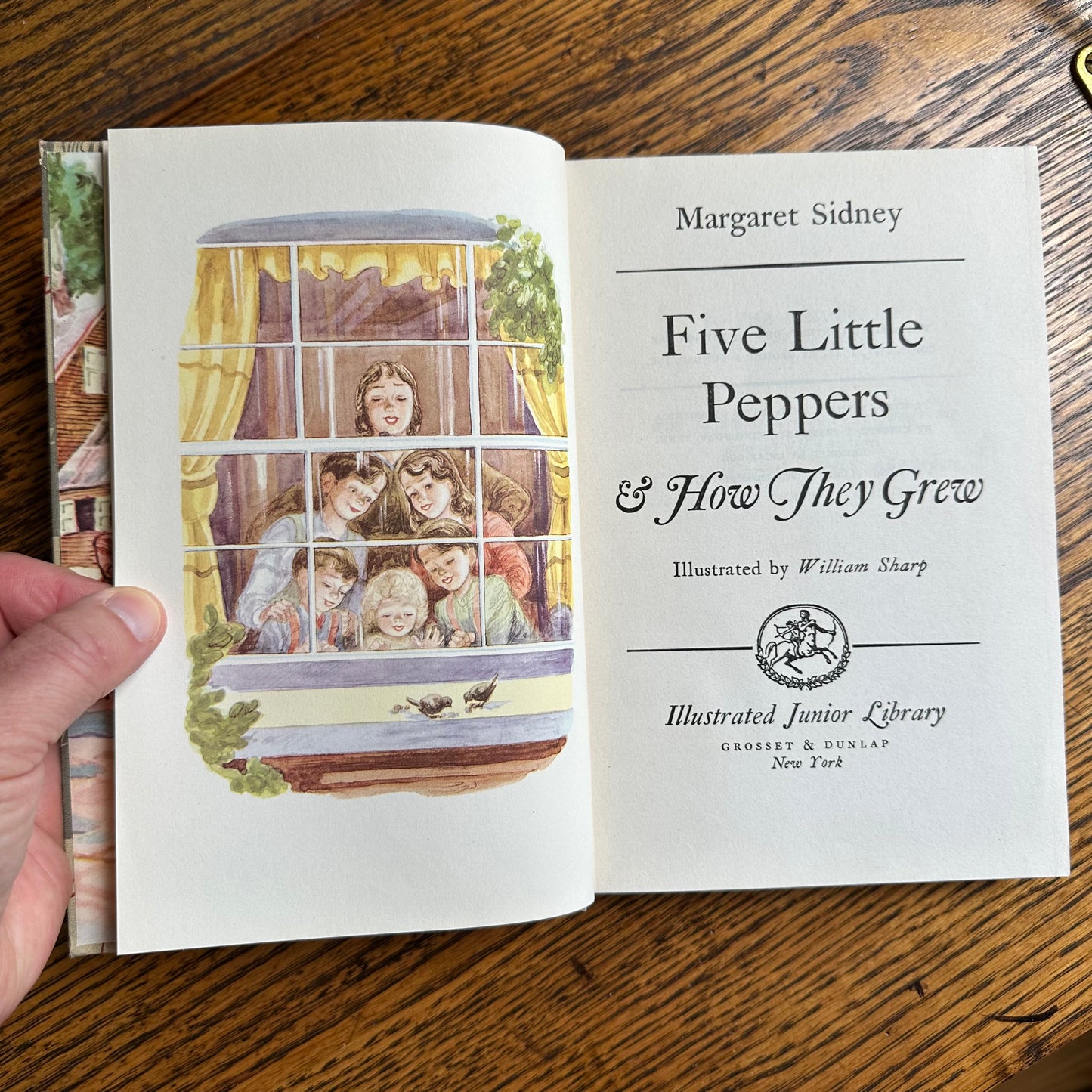 A Set of 6 Classics from the Illustrated Junior Library!