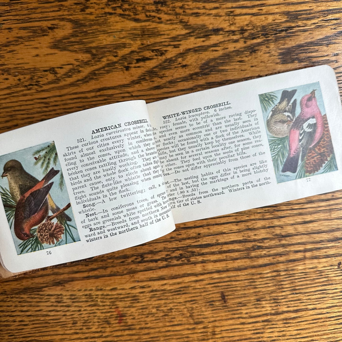 A Set of 3 Leather-Bound Pocket Nature Guides - 1916